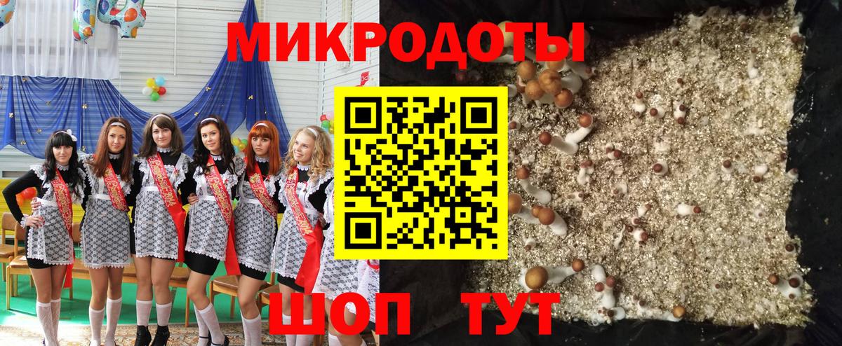 Галлюциногенные грибы ЛСД  Вход с VPN  Галлюциногенные грибы Psilocybine cubensis  Отрадное 